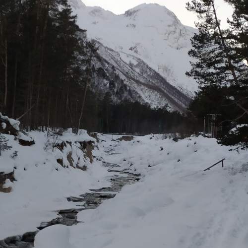 Photo #7091894