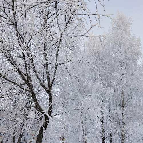Photo #7092116