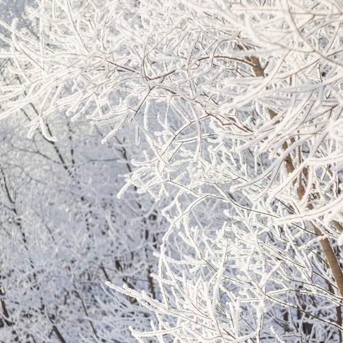 Photo #7092123