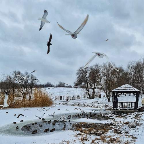 Photo #7092592