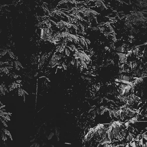 Photo #7092742