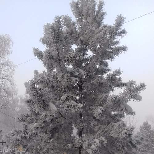 Photo #7092838