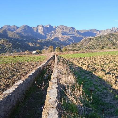 Photo #7092923