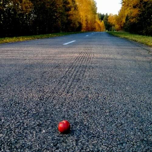 Photo #7092989