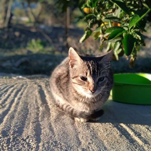 Photo #7093021