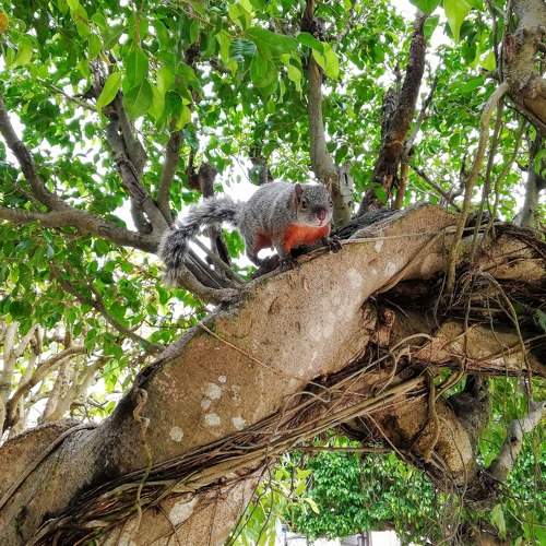 Photo #7093119