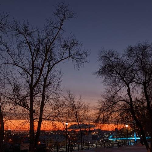 Photo #7093154
