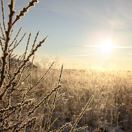Photo #7093160