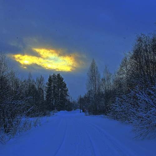 Photo #7093462