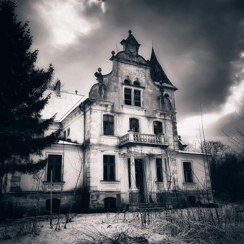 Photo #7093565