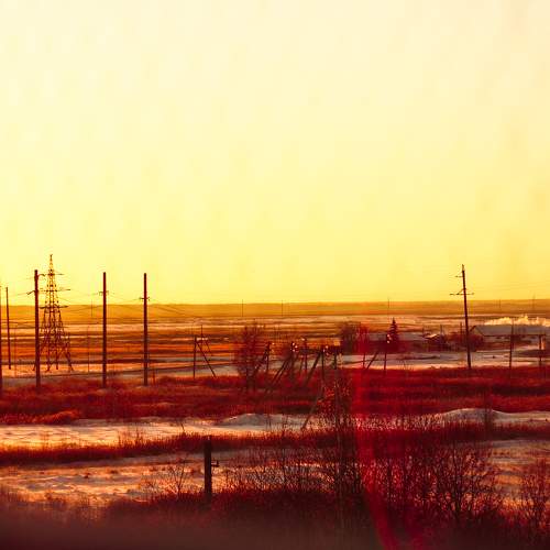 Photo #7093960