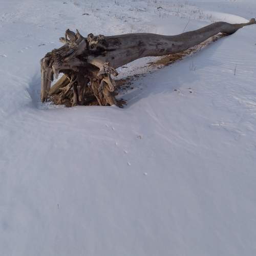 Photo #7094220