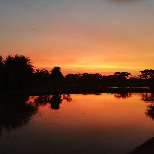 Photo #7094252