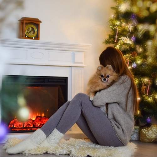 Photo #7094500