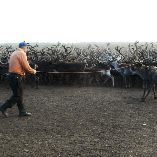 Photo #7094613