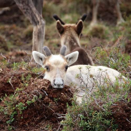 Photo #7094633