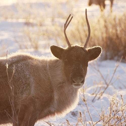 Photo #7094709