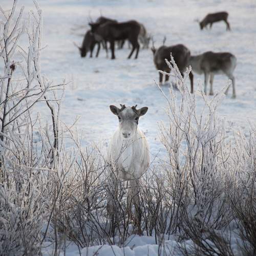 Photo #7094719