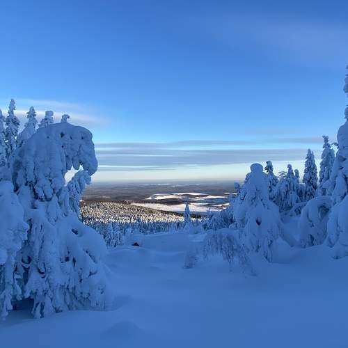 Photo #7094841