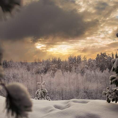 Photo #7095435