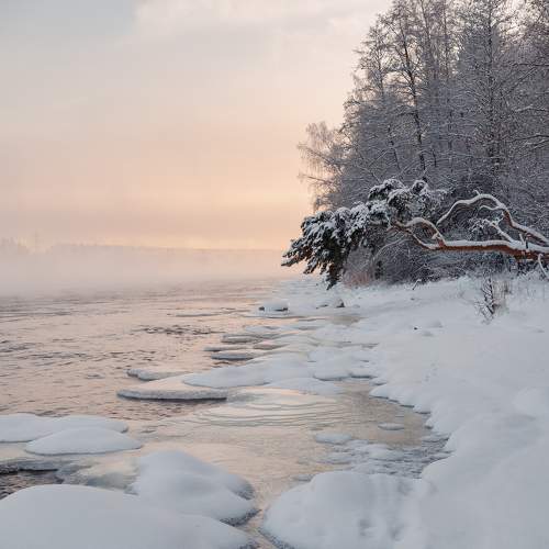 Photo #7095596