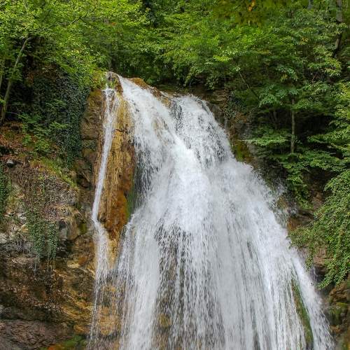 Photo #7095694