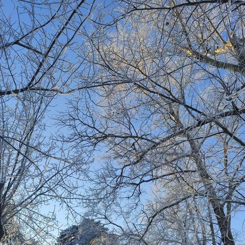 Photo #7095747