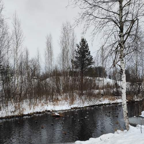 Photo #7095754