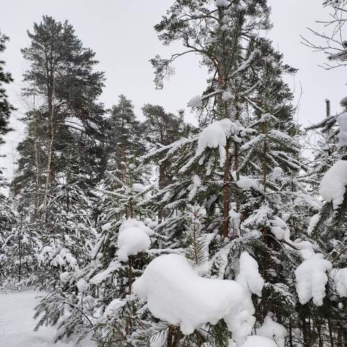 Photo #7095756