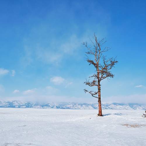 Фотография #7095940