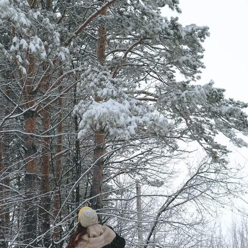 Photo #7095989