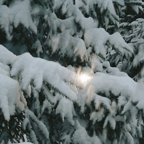 Photo #7095992