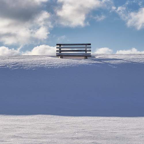 Photo #7096390
