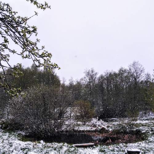 Photo #7096484