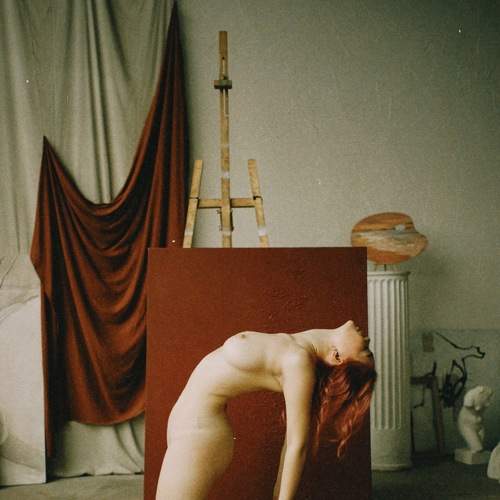 Photo #7096498