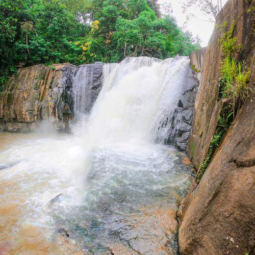 Beauty falls