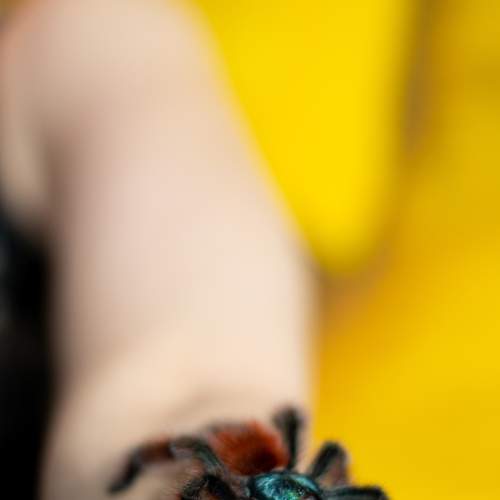 Photo #7096716