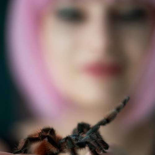 Photo #7096719