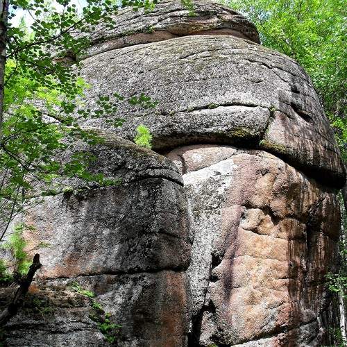 Photo #7097291