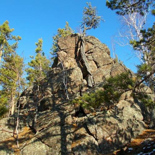 Photo #7097323