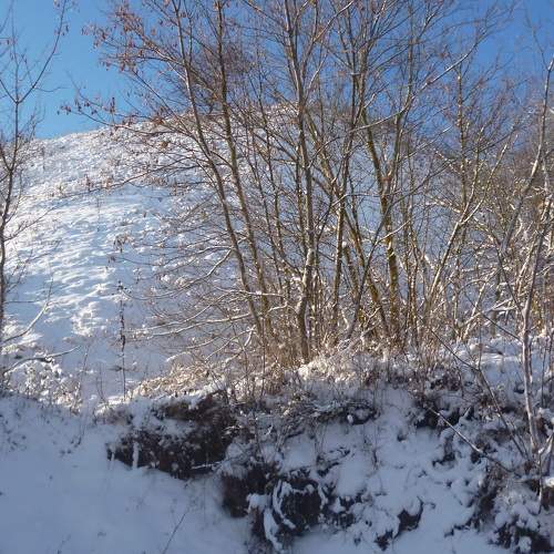 Photo #7097613