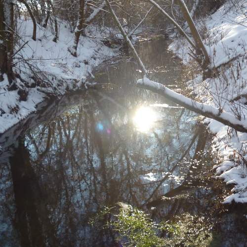 Photo #7097625