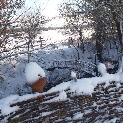 Photo #7097637