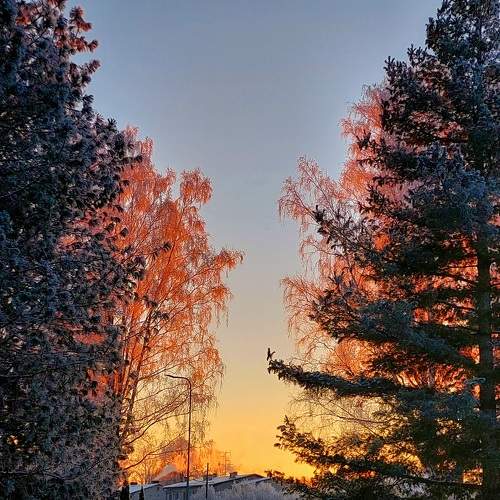 Photo #7097915