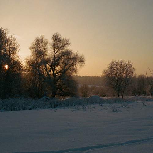 Photo #7098309