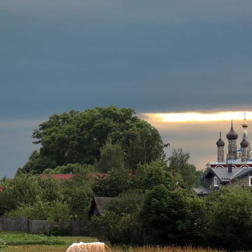 Photo #7098560
