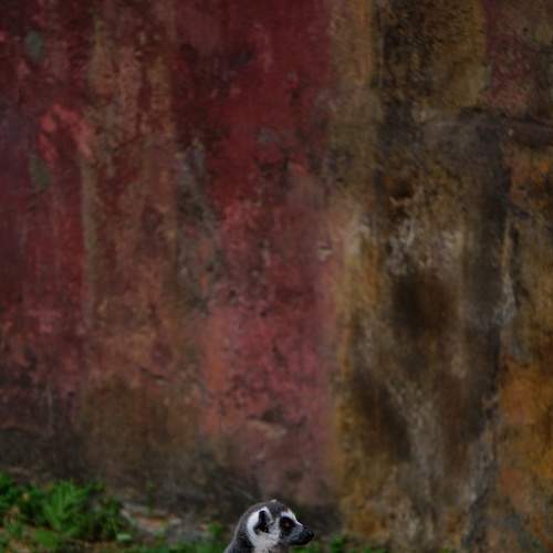 Photo #7098723