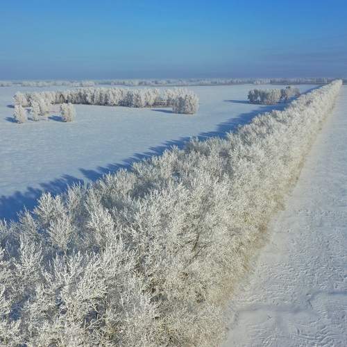 Photo #7099562