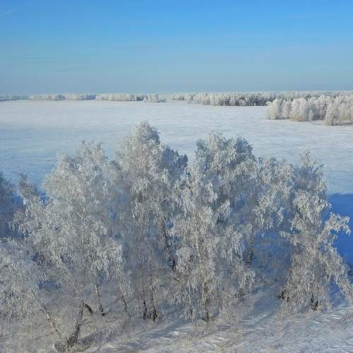Photo #7099569