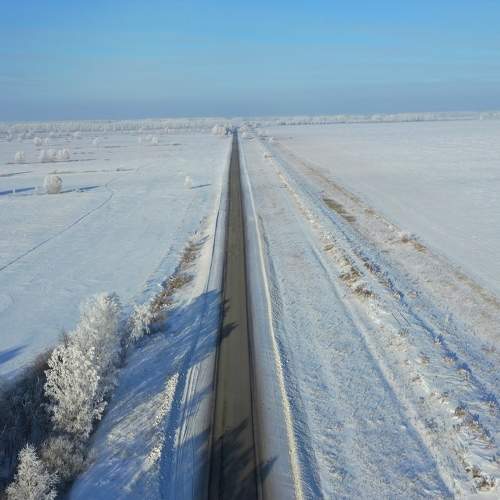 Photo #7099570
